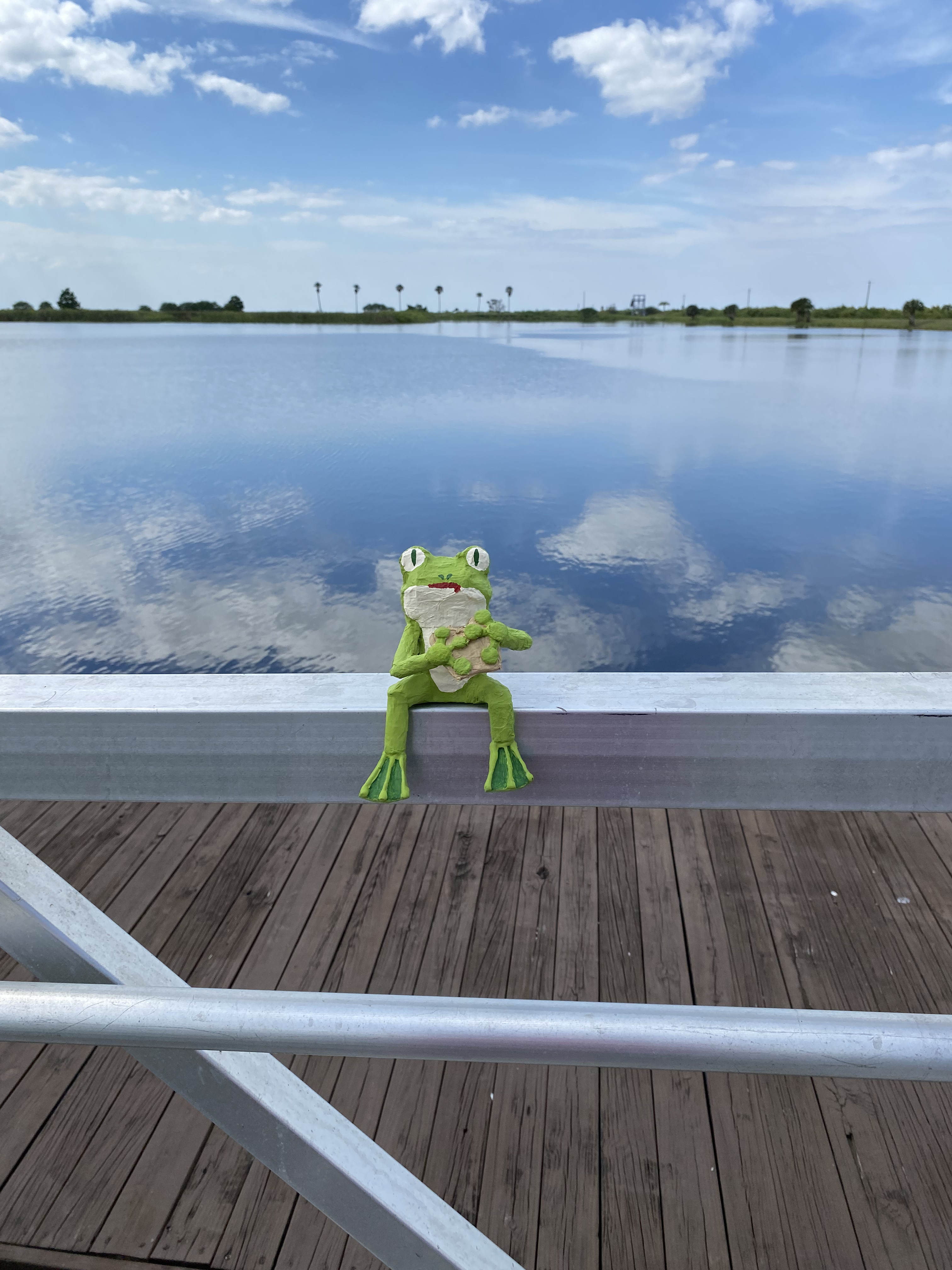 photo of small frog art piece at the lake